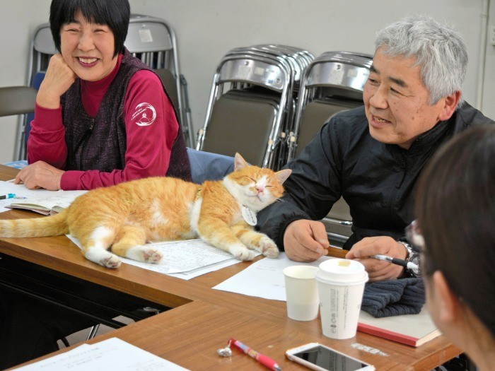 会議の最中、さんじゅーろーは保護してくれた城管理人の本原亮一さん（右）にすり寄った＝岡山県高梁市横町、中村通子撮影