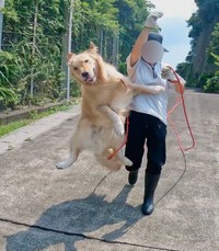 元気いっぱいのイブくん