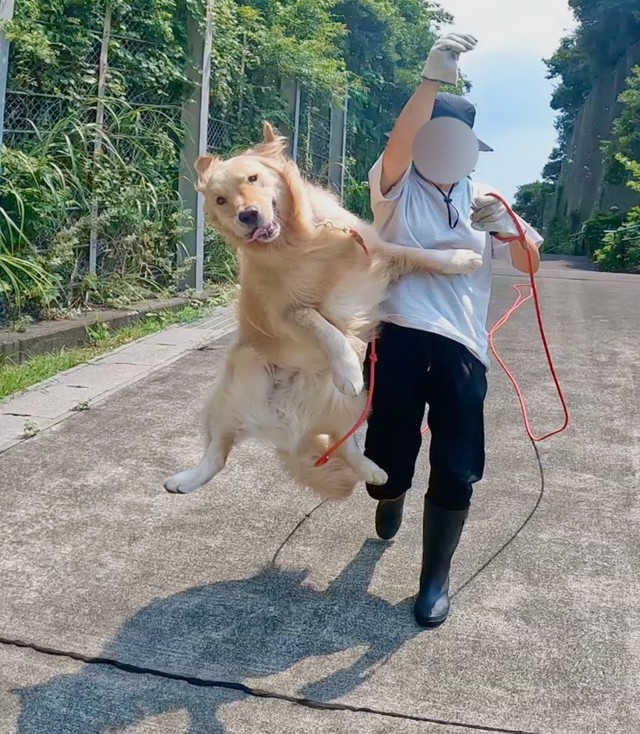 元気いっぱいのイブくん