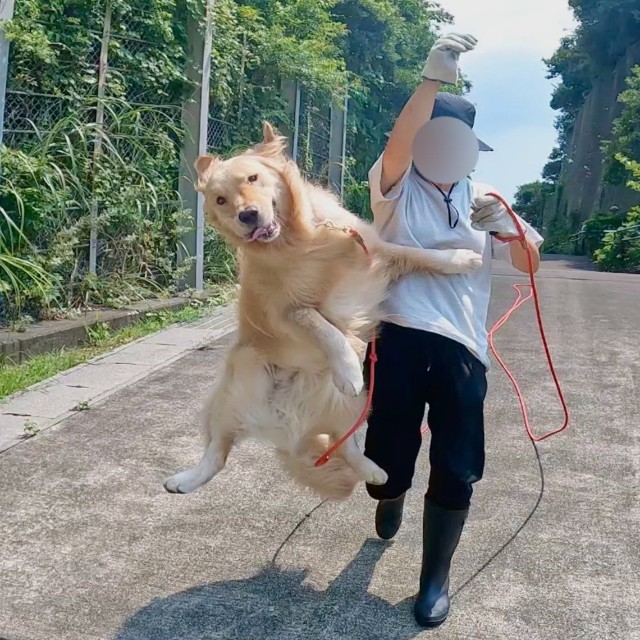 元気いっぱいのイブくん