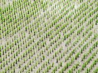 毎年最高を更新する美味しさも。食べ物に異常にこだわる私は悩む