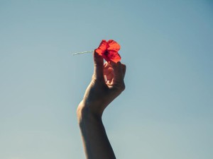 「私のたからもの」をテーマにエッセイを募集！7月26日締め切り