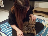 膝の上でうっとり
