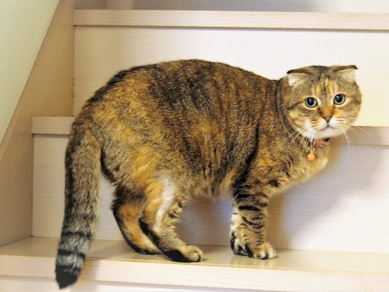 新生活4カ月。ここがずっとの我が家