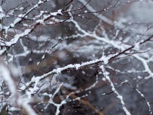 ひとひらの雪も、定めに従って降る。お茶と和菓子とともに眺めた景色
