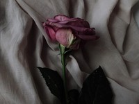 投票は未来の自分へのラブレター。わたしが関わった未来を生きていく