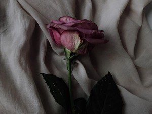 投票は未来の自分へのラブレター。わたしが関わった未来を生きていく