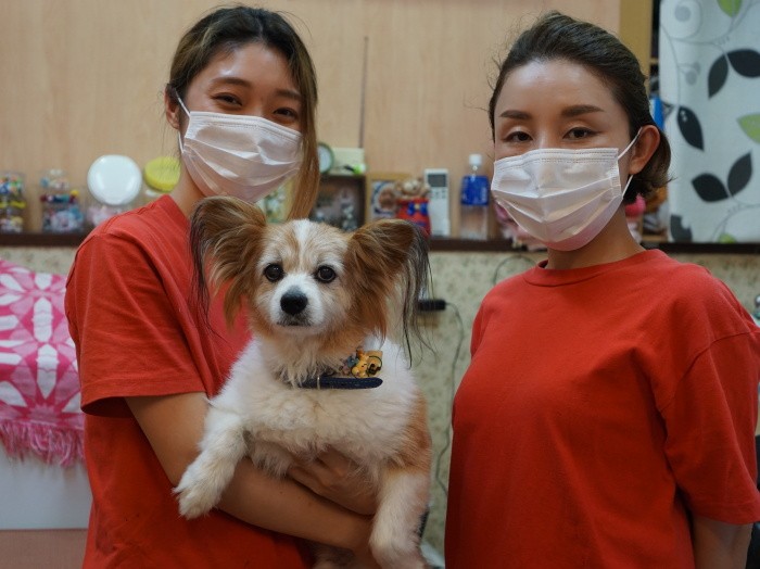 トリミングに来たお客さん（ビーツちゃん）とスタッフ