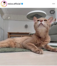 高島礼子インスタグラム＠reico.officialより