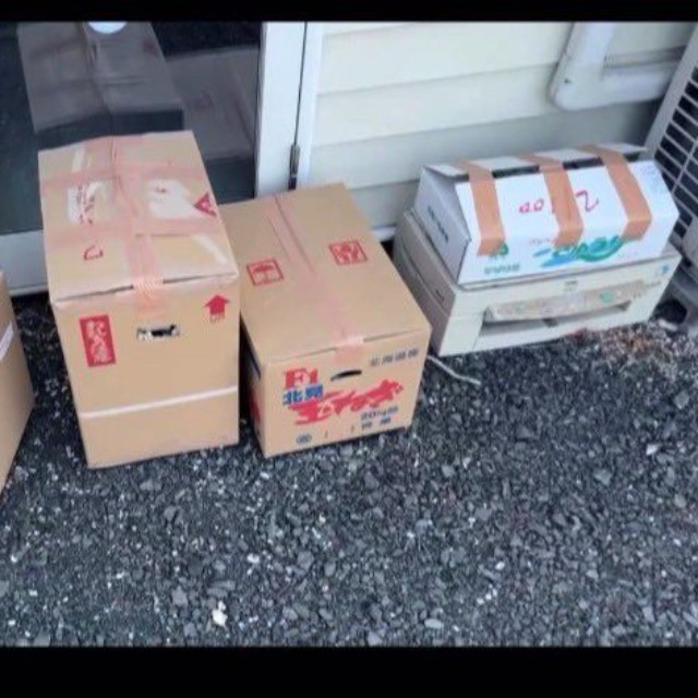 保護猫カフェ「tormenta」の前に置かれた段ボール4箱。このうち1箱に三毛猫が入っていたという(「tormenta」さん提供)