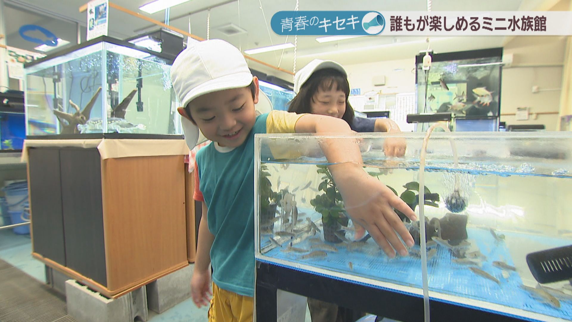 誰もが楽しめるミニ水族館を！100種類以上の水の生き物たちを育てる