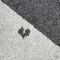 「明らかに秋に塗ったであろう横断歩道があった」（魚心さん提供）