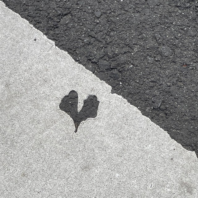 「明らかに秋に塗ったであろう横断歩道があった」（魚心さん提供）