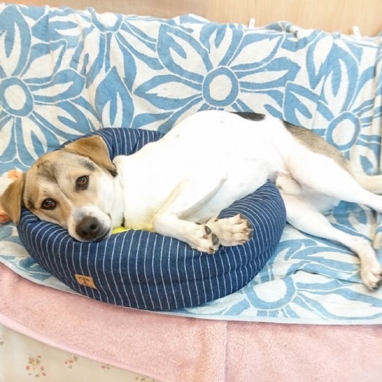 「慌てないでのんびりいこうよ」（かずきさん提供）