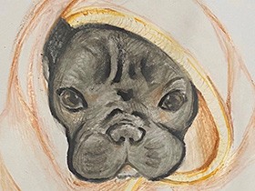 受賞者発表！　sippoおえかきチャレンジ「犬編」