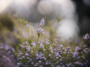 完璧じゃなくていい。エッセイを書くって「自己表現の場」なんだ