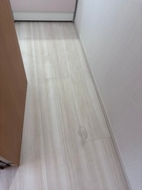 なぜ無かったはずの足跡が…（わーさん提供）