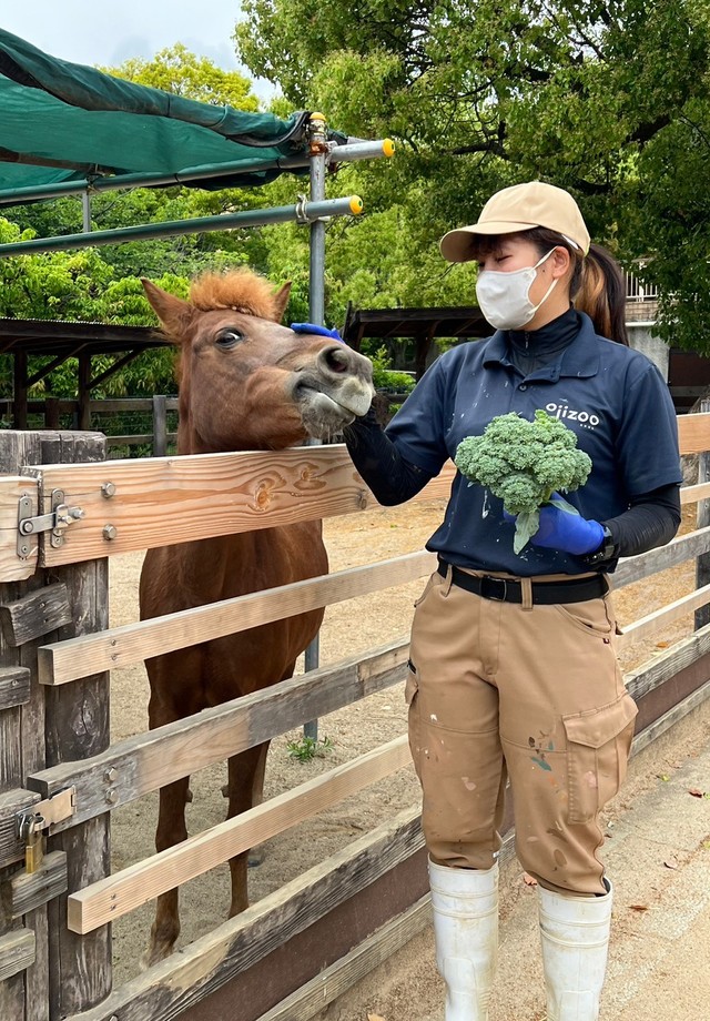 カッピーの糞を肥料にふれあい農園で育てたブロッコリーを早く食べたそうに見ています（神戸市立王子動物園提供）