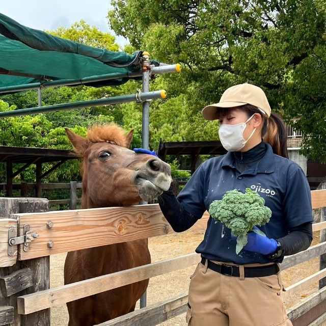 カッピーの糞を肥料にふれあい農園で育てたブロッコリーを早く食べたそうに見ています（神戸市立王子動物園提供）