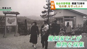 身近な植物に親しめる仙台市野草園が開園から７０年　戦禍で荒廃した杜の都を守ろうと開園