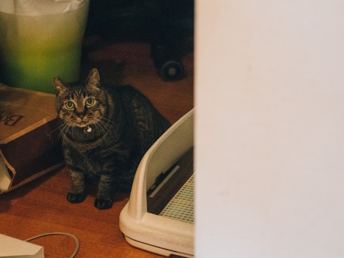 ユララちゃん。見知らぬ人は、まだ怖い。こっそり、のぞき見