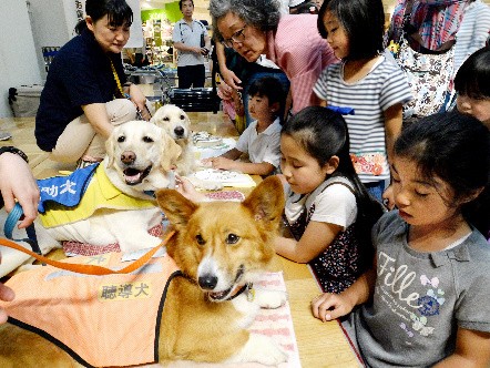 元捨て犬が聴導犬に　赤ん坊の泣き声を教え、育児を手助け