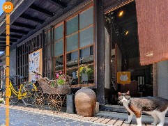 猫目線で散歩、広島キャットストリートビュー　観光ＰＲ