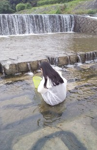 鴨川でエビの観察をするオフィーリアさん（提供：こちさん）