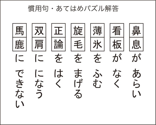 慣用句あてはめパズル解答