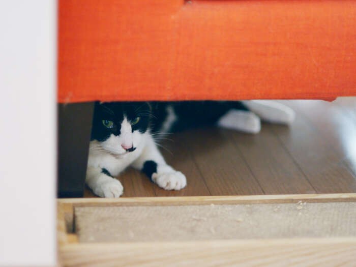 「僕の心配をしてアドバイスやメッセージをくれたみんな、ありがとう」（小林写函撮影）