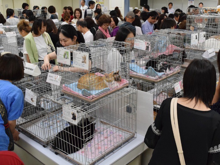 盛況だった京王百貨店の譲渡会