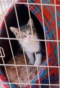 お迎え当初の様子