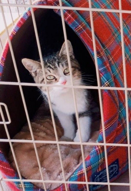 お迎え当初の様子