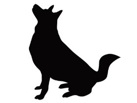 飼い犬を閉じ込め、えさを与えず？虐待容疑で男を逮捕