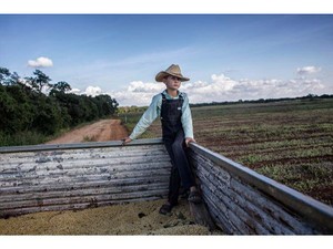 移住者と地元住民の摩擦、ここでも　大豆畑をめぐるメキシコの争い