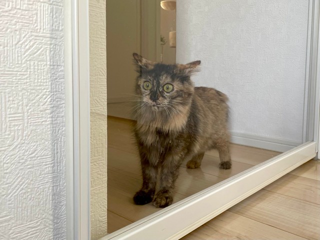 窓の外にも世界があることを知り驚きを隠せないねぎちゃん（提供：おたまさん）