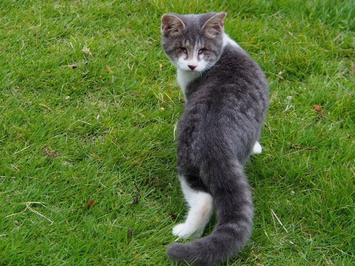 庭で振り向いて、「ママ、そばにいるよね？」