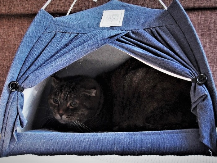 知らない人は、とっても苦手