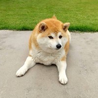 「…座ってますが、何か？」（画像提供／伊波真人さん）