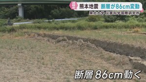 熊本地震は断層が最大８６センチ変動　東北大学災害科学国際研究所