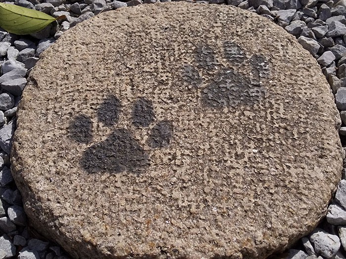 ふと足元をみると、飛び石にも猫の足跡が！　なんとも遊び心があふれています