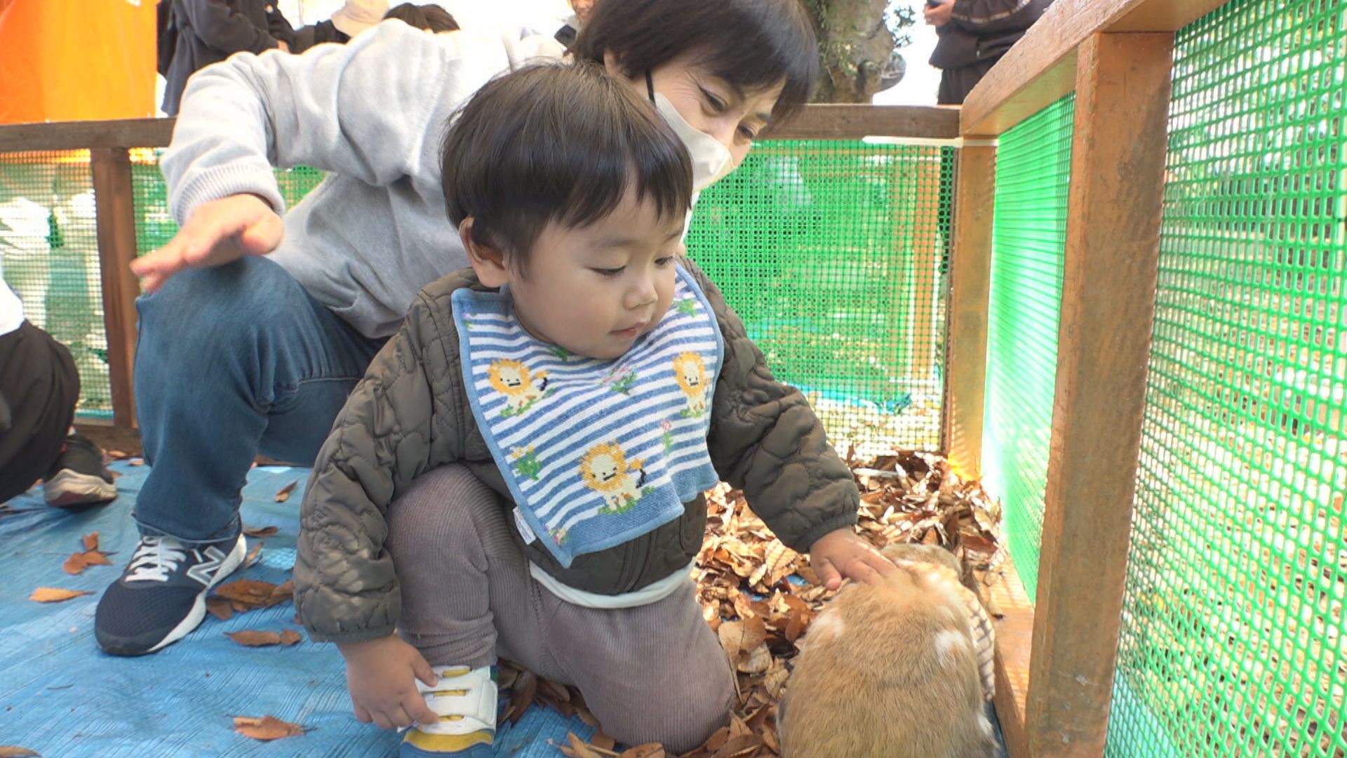 しろとり動物園の動物が高松市の公園に 子どもたちがキンカジューなど