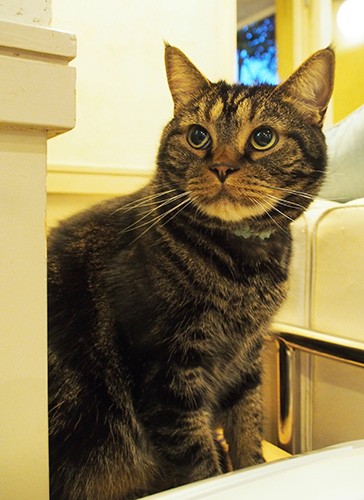 福助のお見送り