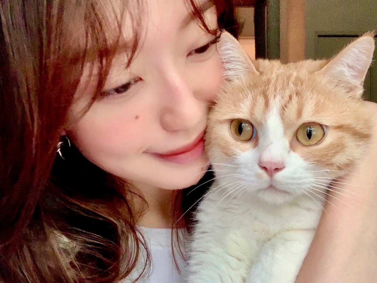猫がそばにいるだけで癒やされて けがで療養 動物の力を再認識 Sippo シッポ