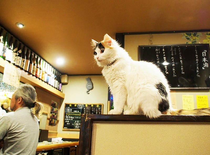 お気に入りの場所