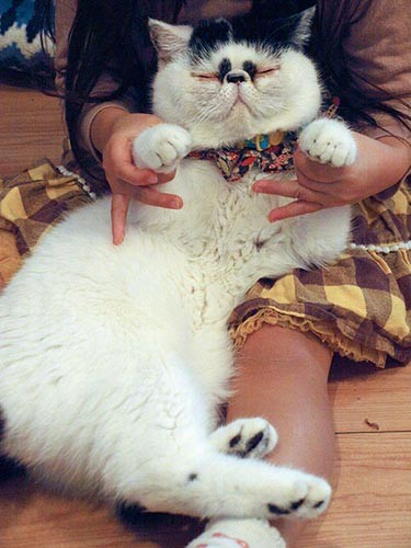 タラコは娘さんに何をされても、されるがまま