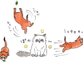 竹脇家に初めて外国の猫が来た！？　のんびり屋のボギーとおてんば娘のルル