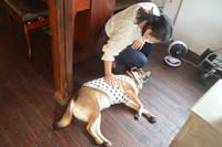 仕事の合間にふたばちゃんに声を掛ける若月さん「お疲れ様」
