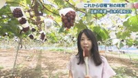 松木梨菜アナウンサー