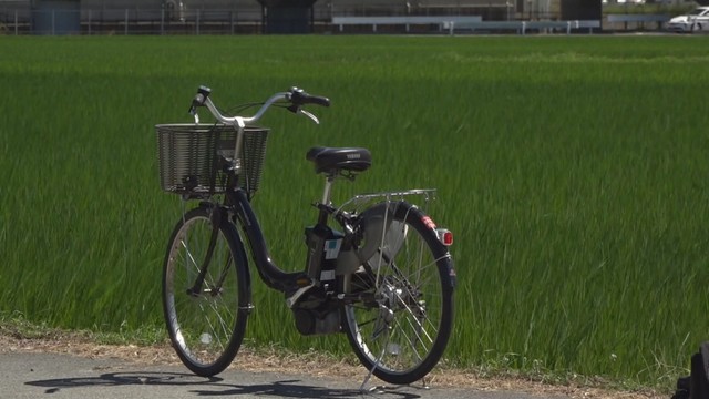 事故車両